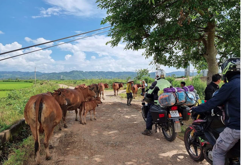 4 Days Pakse (Bolaven Plateau) Easy Rider Loop