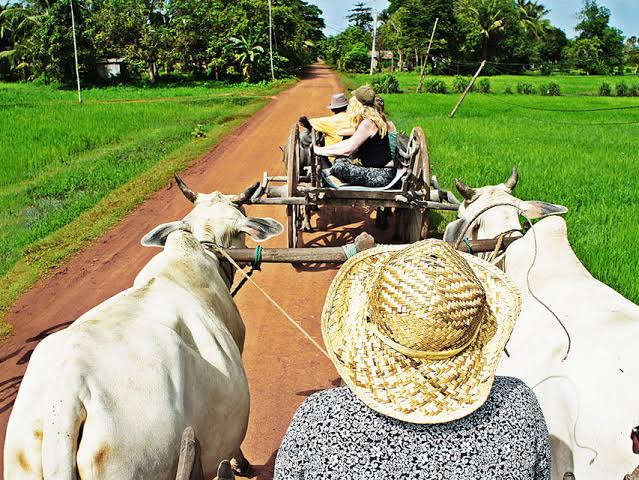 3 Days Siem Reap Easy Rider to Thailand border