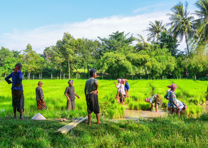 1 Day Siem Reap Countryside Easy Rider